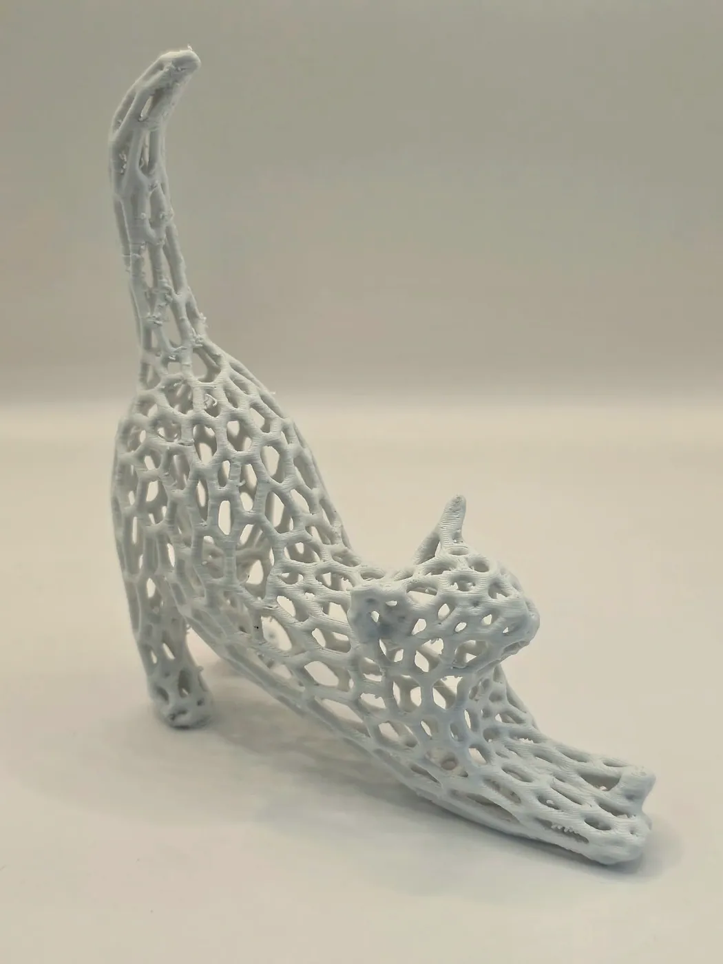 Gato com estrutura vazada impresso em 3D